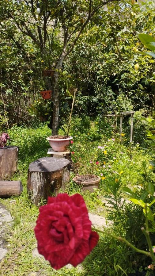 Appartamento Nhà của Sóc Da Lat Esterno foto